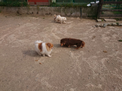 f:id:roukenhome-ann:20190512193444j:plain