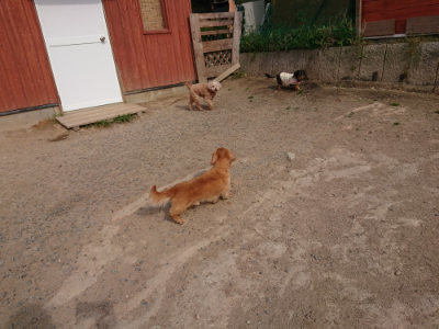 f:id:roukenhome-ann:20190512193449j:plain