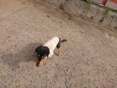 f:id:roukenhome-ann:20190512193501j:plain
