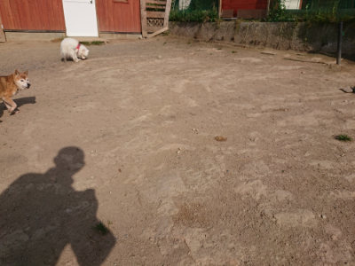 f:id:roukenhome-ann:20190512193506j:plain