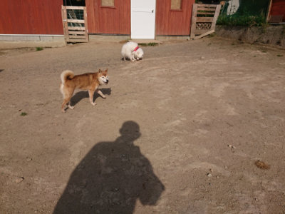 f:id:roukenhome-ann:20190512193512j:plain