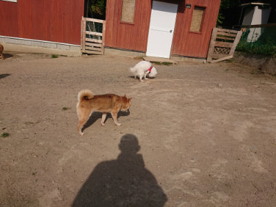 f:id:roukenhome-ann:20190512193519j:plain