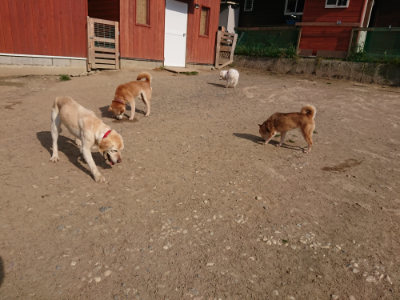 f:id:roukenhome-ann:20190512193524j:plain