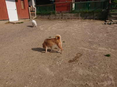 f:id:roukenhome-ann:20190512193534j:plain