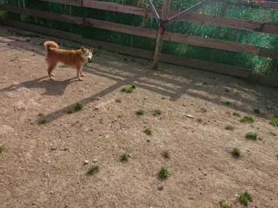 f:id:roukenhome-ann:20190512193540j:plain