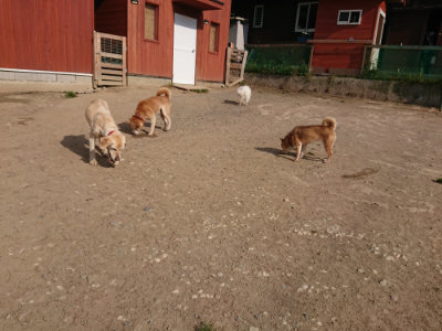 f:id:roukenhome-ann:20190512193551j:plain