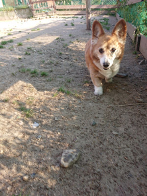f:id:roukenhome-ann:20190512193607j:plain