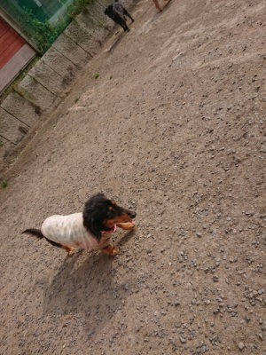 f:id:roukenhome-ann:20190512193620j:plain