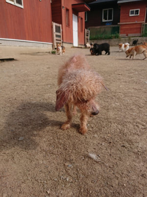 f:id:roukenhome-ann:20190512193635j:plain