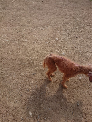 f:id:roukenhome-ann:20190512193705j:plain