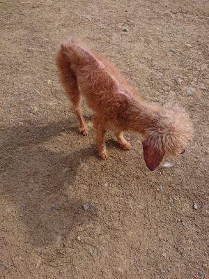 f:id:roukenhome-ann:20190512193713j:plain