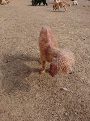 f:id:roukenhome-ann:20190512193718j:plain