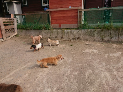 f:id:roukenhome-ann:20190512193729j:plain