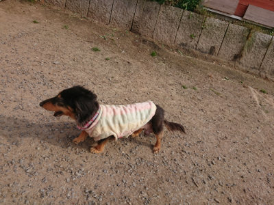 f:id:roukenhome-ann:20190512193734j:plain