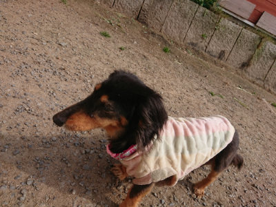 f:id:roukenhome-ann:20190512193751j:plain