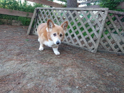 f:id:roukenhome-ann:20190513073919j:plain