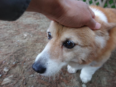 f:id:roukenhome-ann:20190513073927j:plain