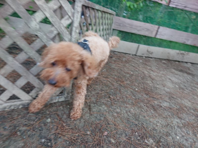 f:id:roukenhome-ann:20190513084454j:plain