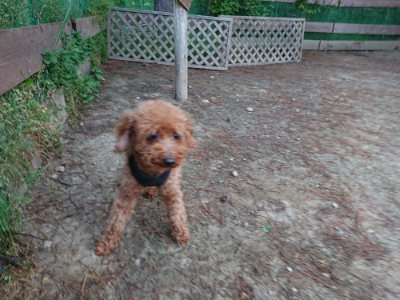 f:id:roukenhome-ann:20190513084459j:plain