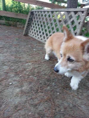 f:id:roukenhome-ann:20190513084524j:plain