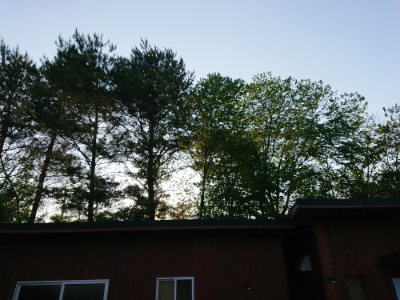 f:id:roukenhome-ann:20190513084605j:plain