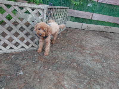 f:id:roukenhome-ann:20190513084614j:plain