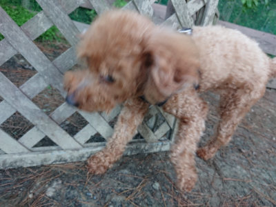 f:id:roukenhome-ann:20190513084700j:plain