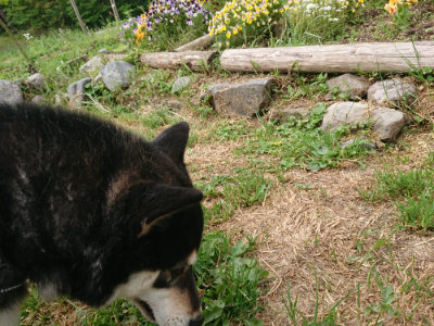 f:id:roukenhome-ann:20190514173806j:plain