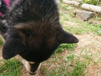 f:id:roukenhome-ann:20190514173817j:plain