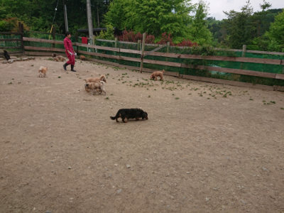 f:id:roukenhome-ann:20190514175328j:plain
