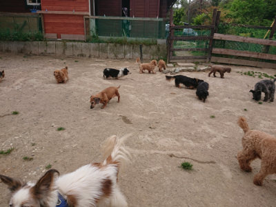 f:id:roukenhome-ann:20190514175351j:plain