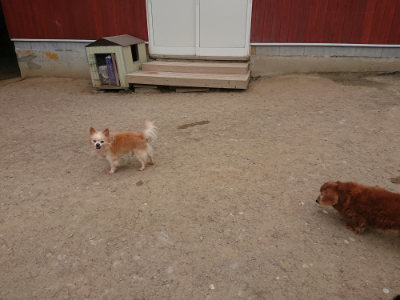 f:id:roukenhome-ann:20190514175356j:plain