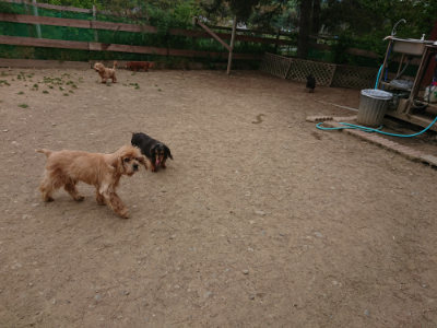 f:id:roukenhome-ann:20190514175406j:plain