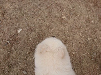 f:id:roukenhome-ann:20190514175439j:plain