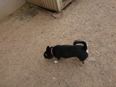 f:id:roukenhome-ann:20190514175508j:plain