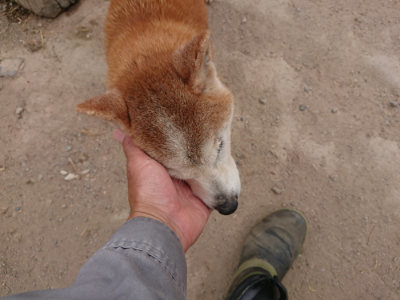 f:id:roukenhome-ann:20190514175532j:plain