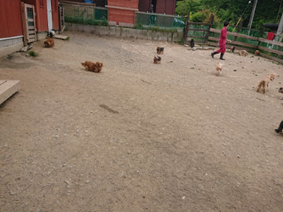 f:id:roukenhome-ann:20190514175624j:plain