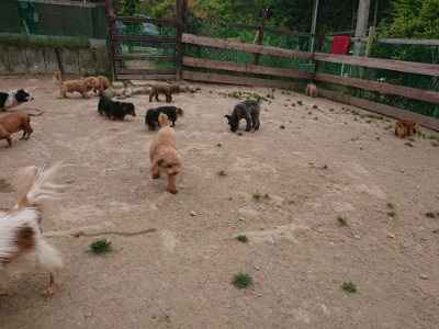 f:id:roukenhome-ann:20190514175642j:plain