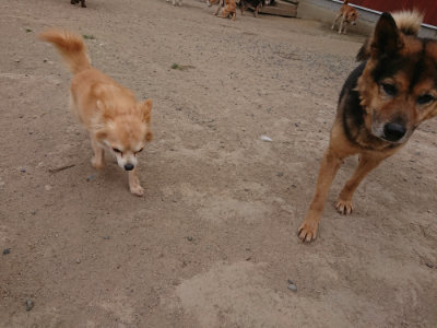 f:id:roukenhome-ann:20190514175654j:plain