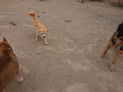 f:id:roukenhome-ann:20190514175706j:plain