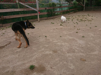 f:id:roukenhome-ann:20190514175713j:plain