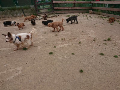 f:id:roukenhome-ann:20190514175727j:plain