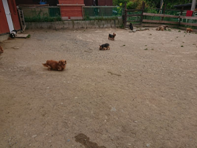 f:id:roukenhome-ann:20190514175811j:plain