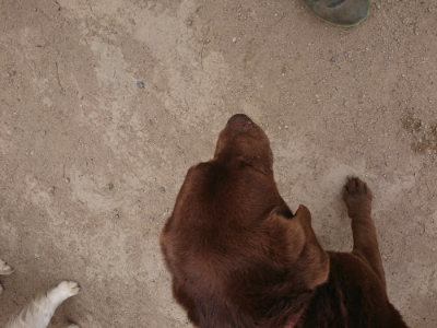 f:id:roukenhome-ann:20190514175819j:plain