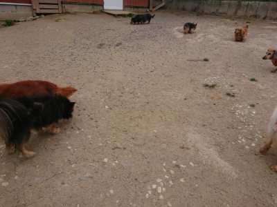 f:id:roukenhome-ann:20190514175831j:plain