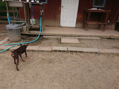f:id:roukenhome-ann:20190514180034j:plain