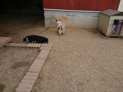 f:id:roukenhome-ann:20190514180104j:plain