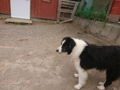 f:id:roukenhome-ann:20190514180109j:plain