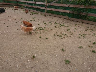 f:id:roukenhome-ann:20190514180129j:plain