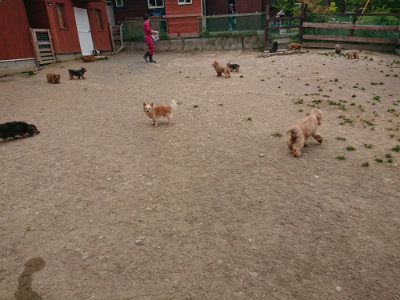f:id:roukenhome-ann:20190514180204j:plain